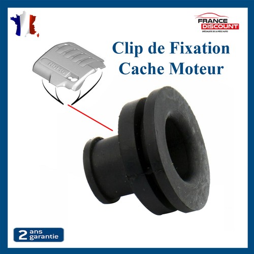 Support clip cache - clip,